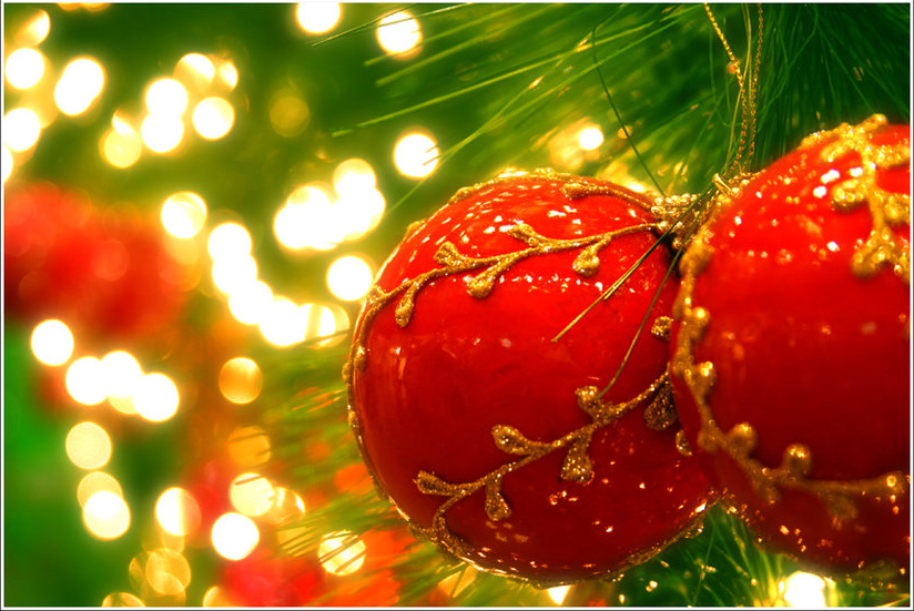 Pourquoi un sapin de Noël ?