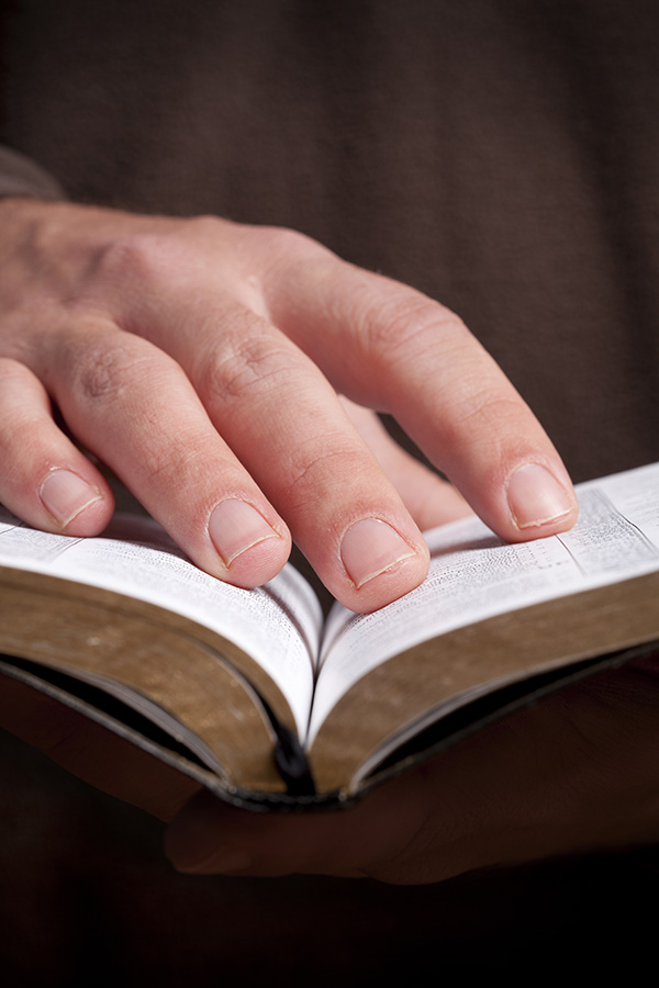 bible