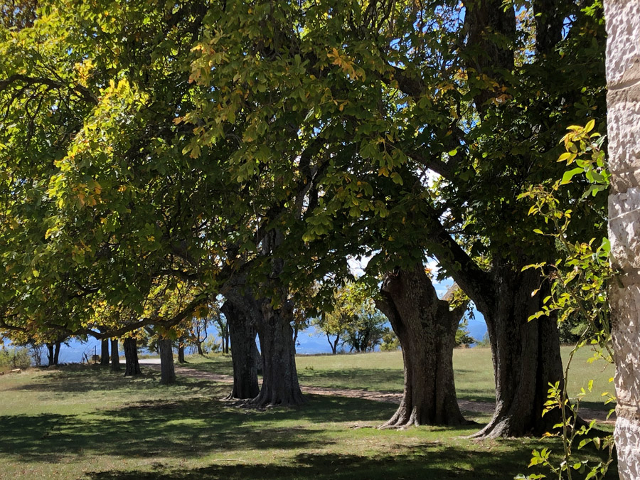 Un Temps pour la Création au Domaine des Courmettes