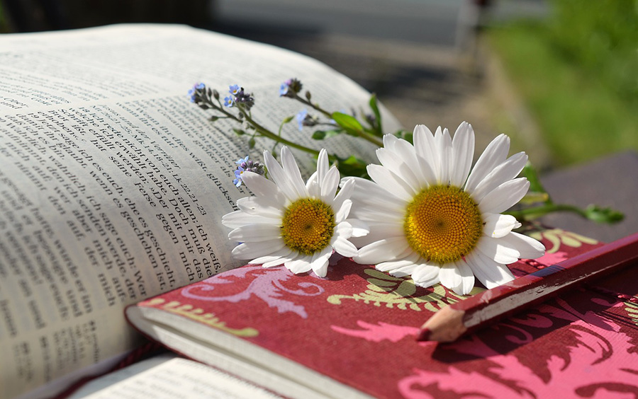 3 résolutions tirées du livre des Proverbes