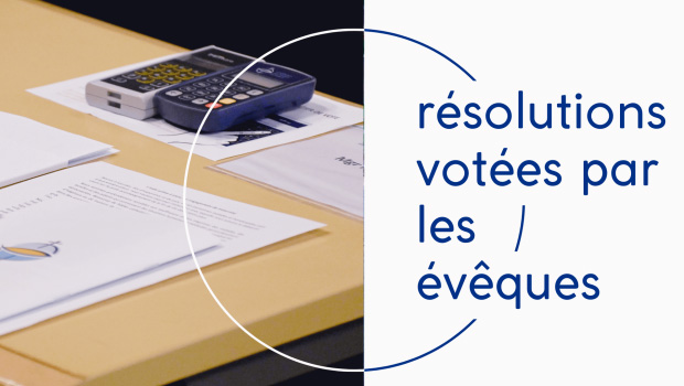 Assemblée plénière 2023: élections et votes