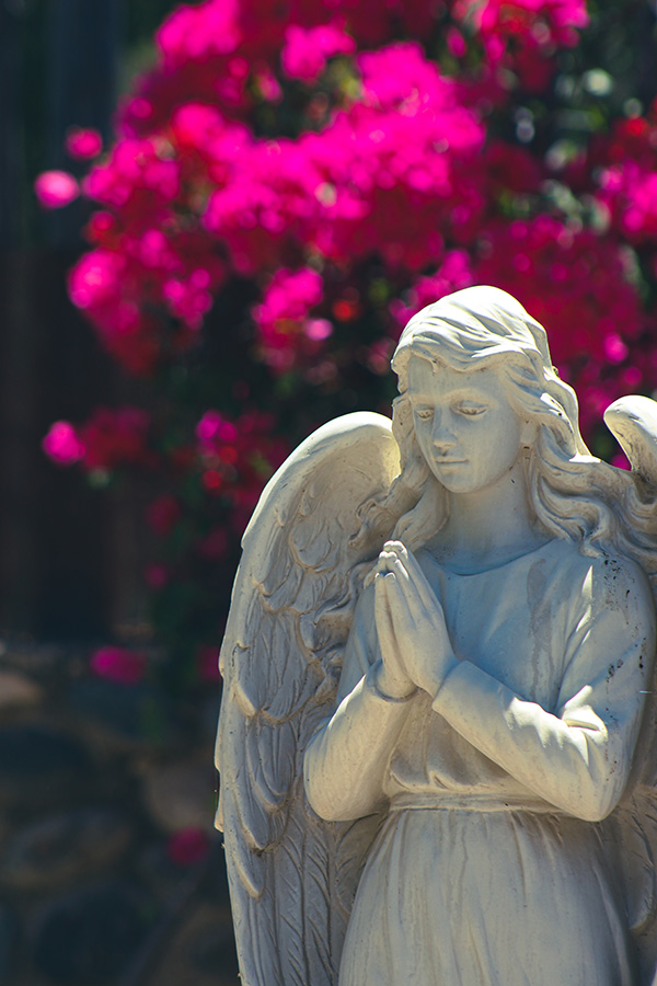 Place aux anges