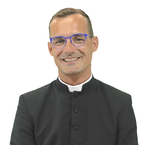 P. Luc DENOYER