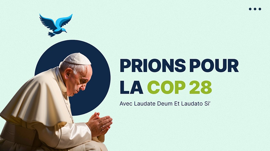 COP 28