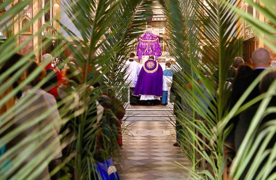Revivez en images la messe des Rameaux dans le diocèse