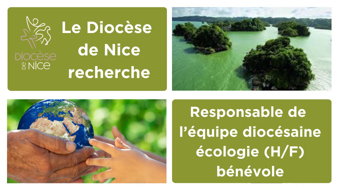 [Bénévolat] Responsable équipe écologie