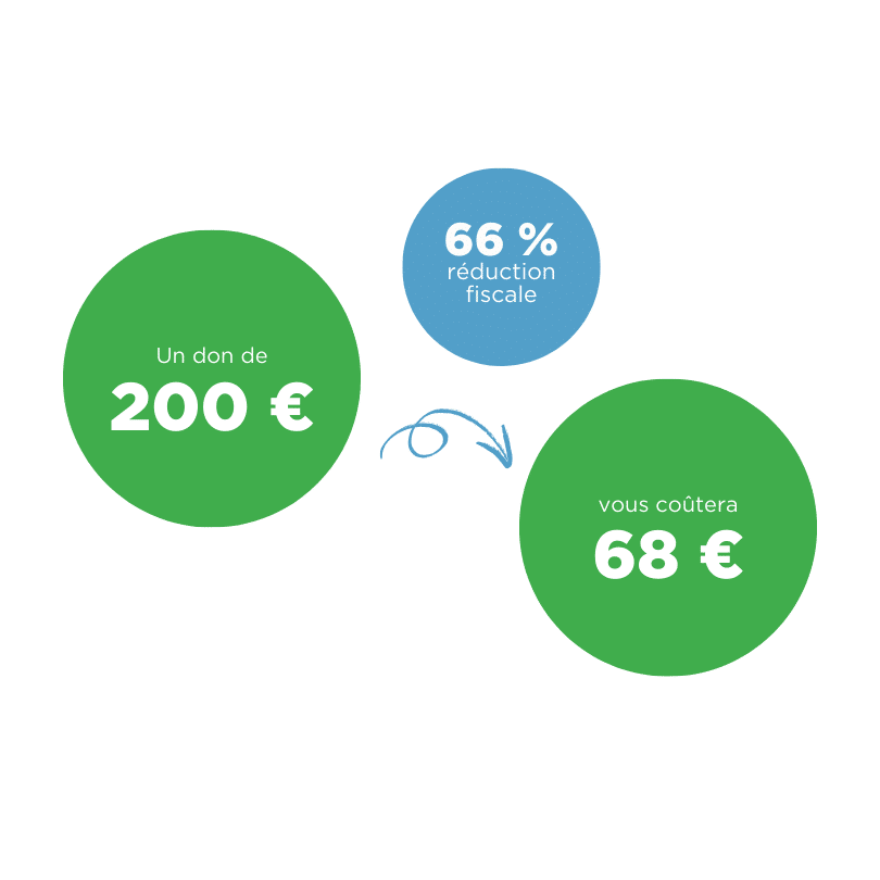Collecte du Denier de l’Église 2024